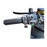 City Go Rs - 500 Watt, 25 km/h, 24 Ah, 80 km, EEC