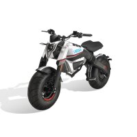 Beach Mad Bike E-Motorrad 3KW 60V EEC