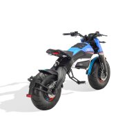 Beach Mad Bike E-Motorrad 3KW 60V EEC