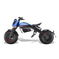 Beach Mad Bike E-Motorrad 3KW 60V EEC