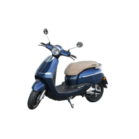 CITIS 3KW 72Volt 20AH Akku 45km/h mit EEC