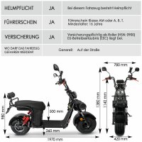 E-Cruiser 3KW 25,6AH 45kmh Straßenzulassung EEC