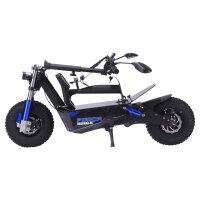 Bossman-XS EEC 3KW ElektroScooter 45 km/h
