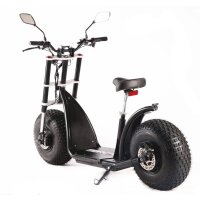 KnuMo II VGT 3KW 70kmh Fatwheel LowRide Scooter mit Doppelmotor