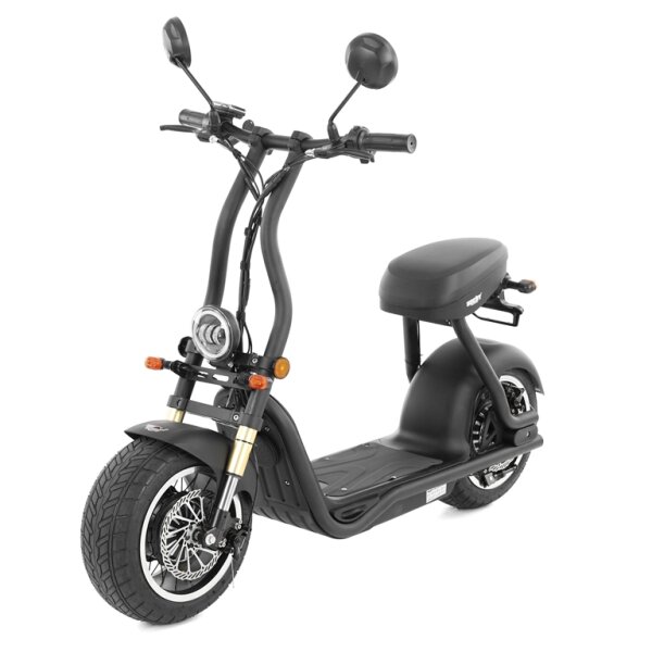 COCIS MINI 1KW 48V 13AH EEC